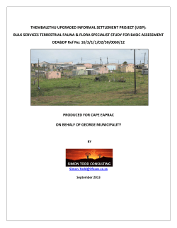thembalethu upgraded informal settlement project (uisp): bulk