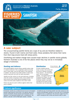 SawfiSh - Department of Fisheries