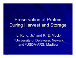 Preservation of Protein During Harvest and Storage of Silages