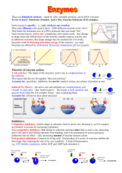 Theories of enzyme action