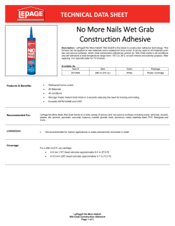 No More Nails Wet Grab Construction Adhesive