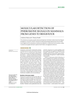 molecular detection of pheromone signals in mammals