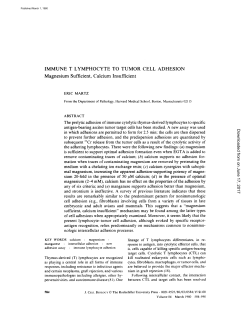 IMMUNE T LYMPHOCYTE TO TUMOR CELL ADHESION