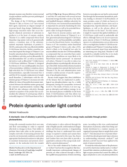 Protein dynamics under light control