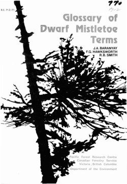 Glossary of Dwarf Mistletoe Terms