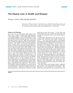 The Equine Liver in Health and Disease