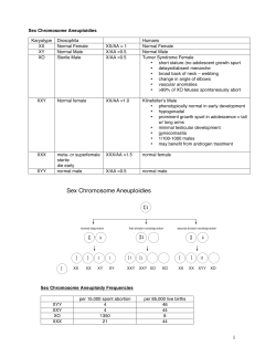 Sex Chromosome Aneuploidies Karyotype Drosophila Humans XX