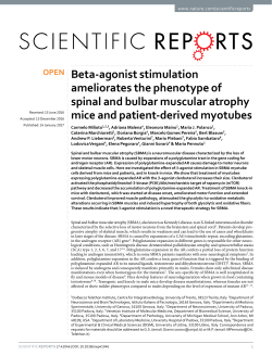 Beta-agonist stimulation ameliorates the phenotype of