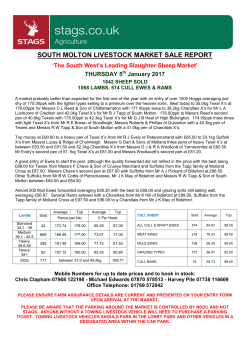 SOUTH MOLTON LIVESTOCK MARKET SALE REPORT