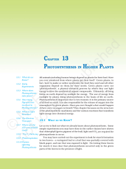 PHOTOSYNTHESIS IN HIGHER PLANTS