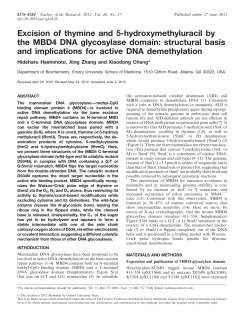 Excision of thymine and 5-hydroxymethyluracil by