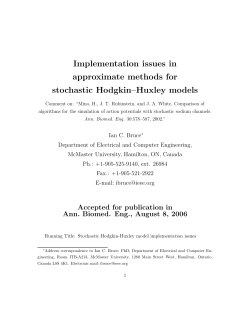 Implementation issues in approximate methods for stochastic