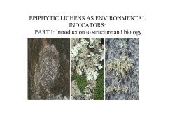 EPIPHYTIC LICHENS AS ENVIRONMENTAL INDICATORS: PART I