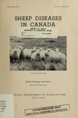 A63-904-1957