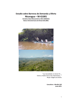 Nicaragua SM2015 - Estudio de barreras