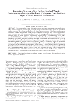Population Structure of the Cabbage Seedpod Weevil