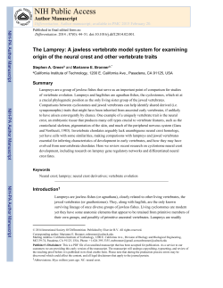 The lamprey: A jawless vertebrate model system for examining