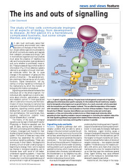 news and views feature