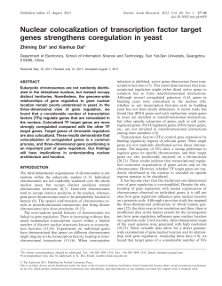 Nuclear colocalization of transcription factor target genes