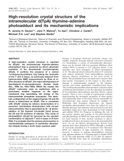High-resolution crystal structure of the intramolecular d(TpA