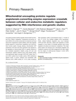Mitochondrial uncoupling proteins regulate angiotensin‐converting