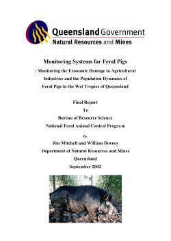 Monitoring Systems for Feral Pigs: Monitoring the Economic