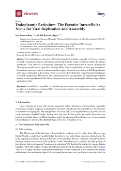 Endoplasmic Reticulum: The Favorite Intracellular Niche for Viral