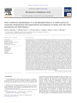 Outer membrane phospholipase A in phospholipid bilayers: A model