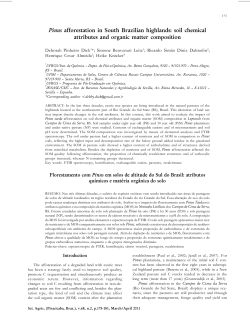 Pinus afforestation in South Brazilian highlands: soil