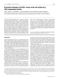 N-terminal cleavage of proTGF&alpha; occurs at the cell surface by a