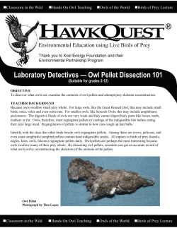 Laboratory Detectives &mdash; Owl Pellet Dissection 101