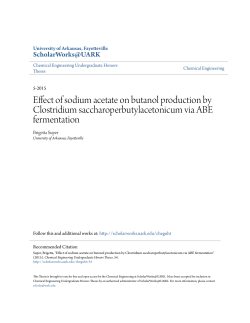 Effect of sodium acetate on butanol production by Clostridium