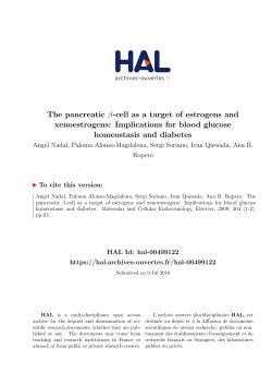 The pancreatic -cell as a target of estrogens and xenoestrogens
