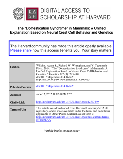 Full Text - Harvard University