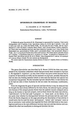 genus Sporobolus was Agrostis (which was