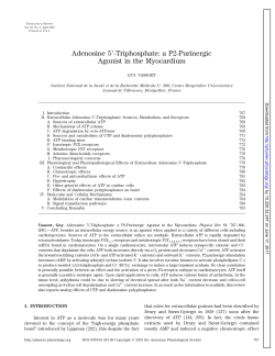 Adenosine 5-Triphosphate: a P2-Purinergic Agonist in the Myocardium