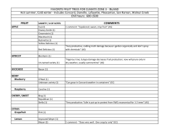 FRUIT COMMENTS Chill hours: 600-1500 Hot summer, Cold winter