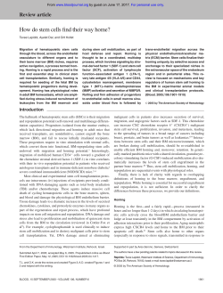 How do stem cells find their way home?