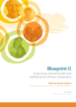 Blueprint II - Making change happen