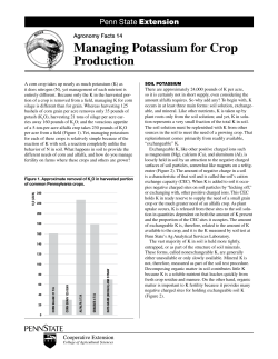 Managing Potassium for Crop Production