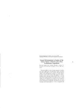 Sexual Dichromatism in Snakes of the Genus Vipera: A Review and