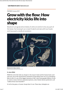 Grow with the flow: How electricity kicks life into shape | New Scientist