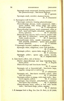 24 Sporangia much compressed, forming rosettes or net