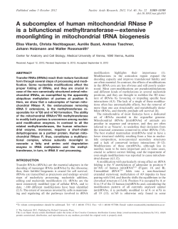 A subcomplex of human mitochondrial RNase P is a bifunctional