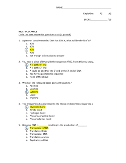 Molecular Biology Quiz