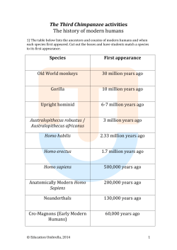 The history of modern humans