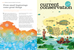 File - Current conservation