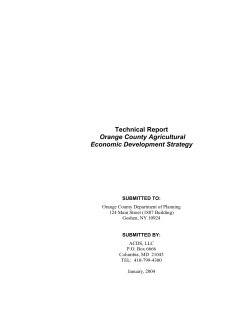 Agricultural Economic Development Strategy, 2004