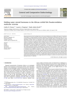 Holding water steroid hormones in the African cichlid fish