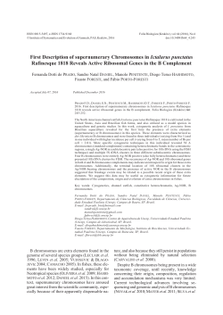 First description of supernumerary chromosomes in
